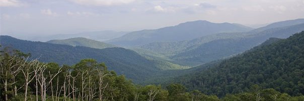 Alternativa Regional banner