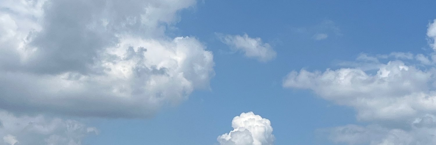 lttlegurl's profile banner image