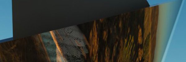TheMirror Profile Banner