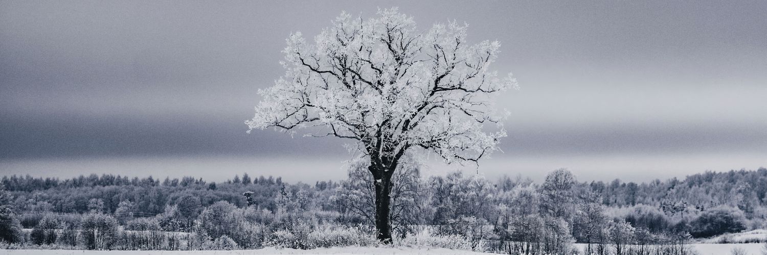 xnttkx7's profile banner image