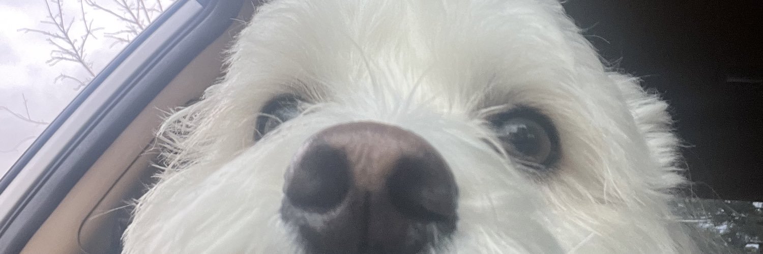 ttracyyx's profile banner image