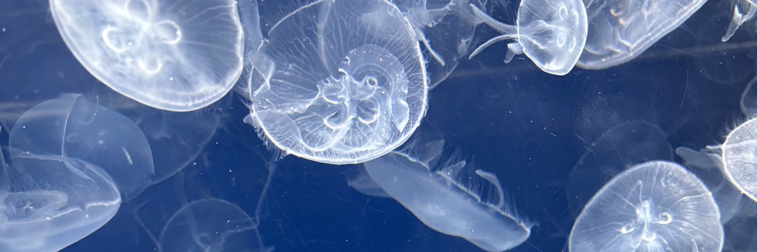 みみこちゃん゛ banner