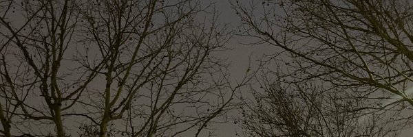 Mighteru Profile Banner