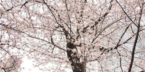 Laraassakti's profile banner image