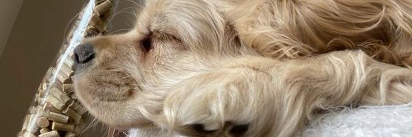 Aboutshecom Profile Banner