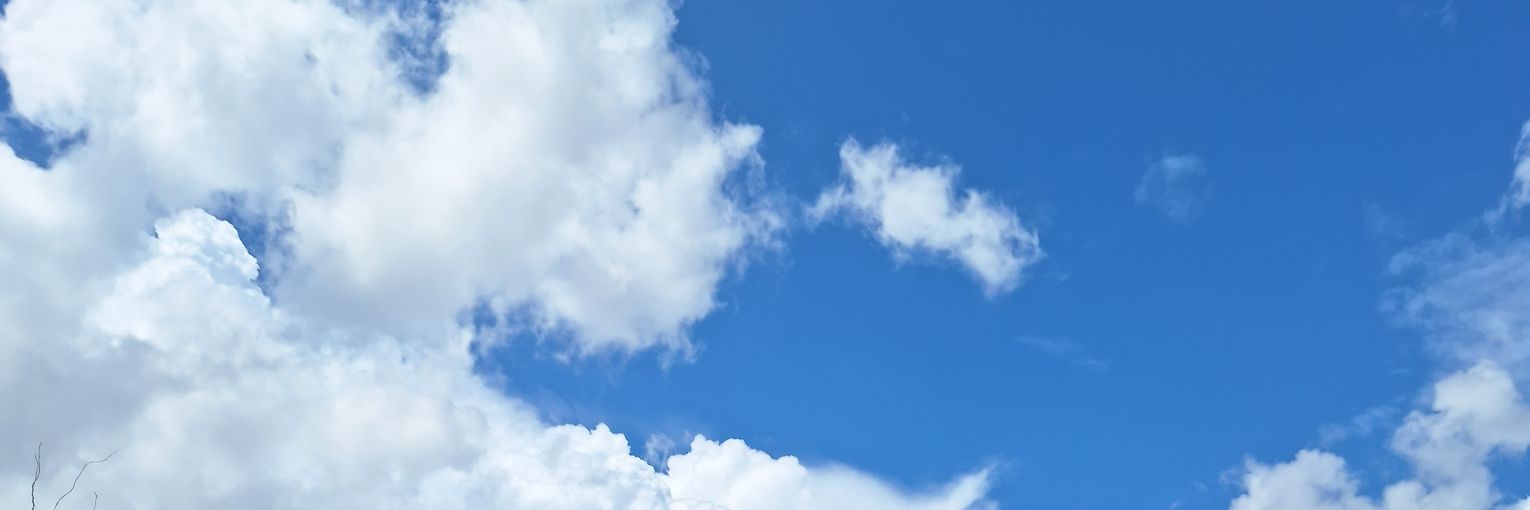 sunshine banner