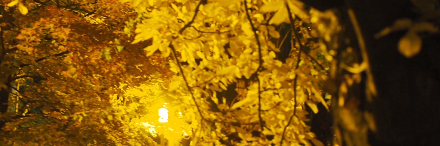 mimi466736's profile banner image
