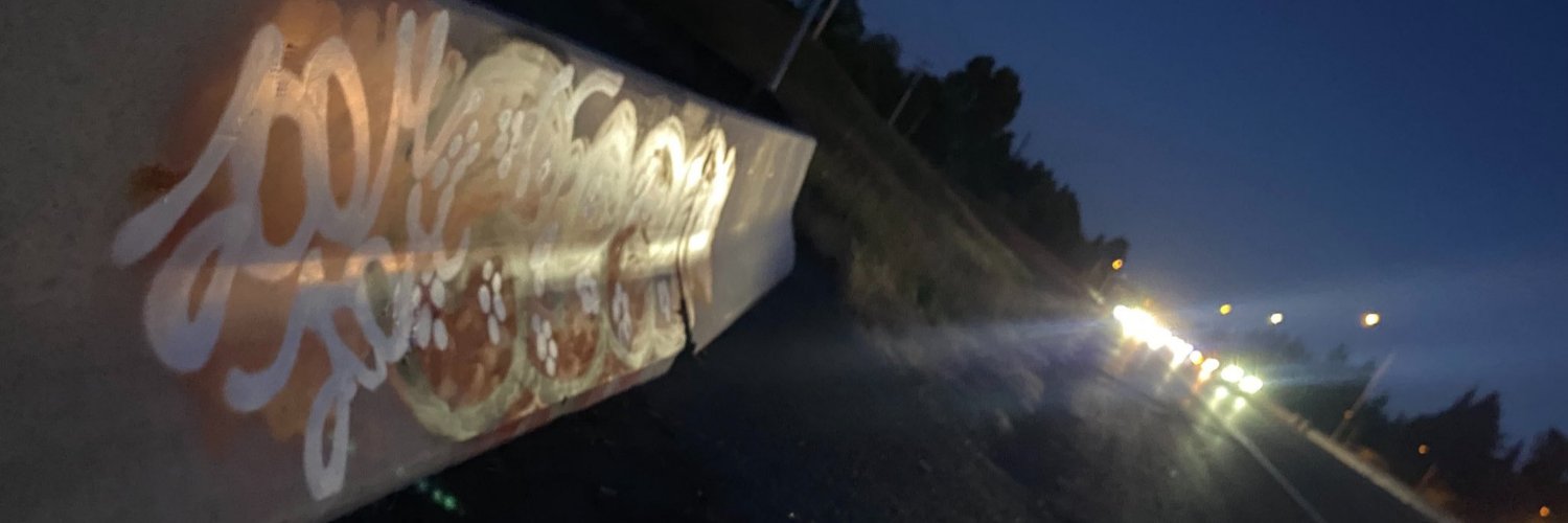 L0vesick's profile banner image