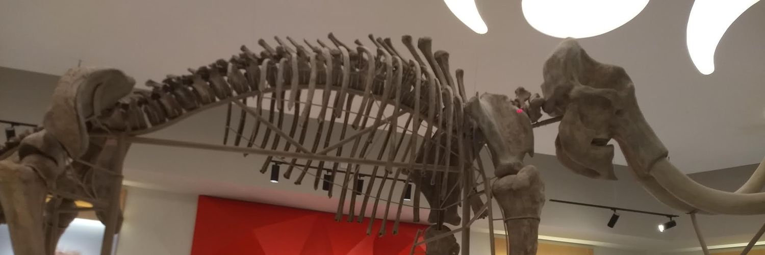 JorgeVictorC's profile banner image