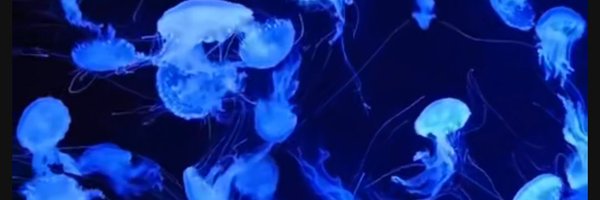 Meelduz_art Profile Banner