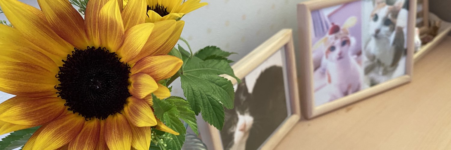 otsumiya7's profile banner image