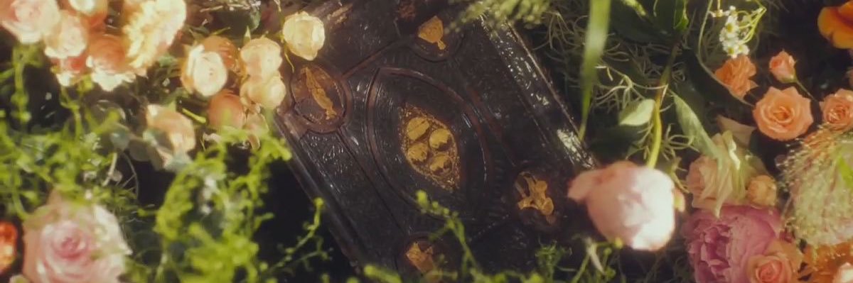 ilovzu__'s profile banner image
