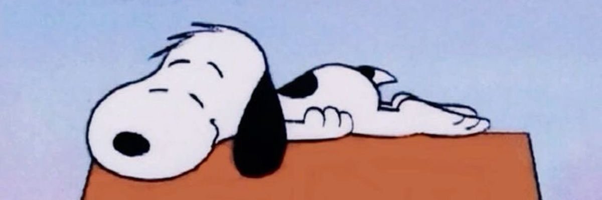 _goofer's profile banner image