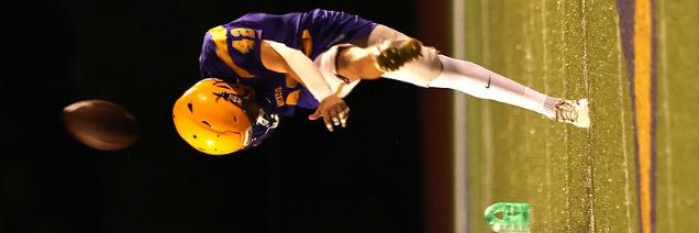 Patrick Harrington banner