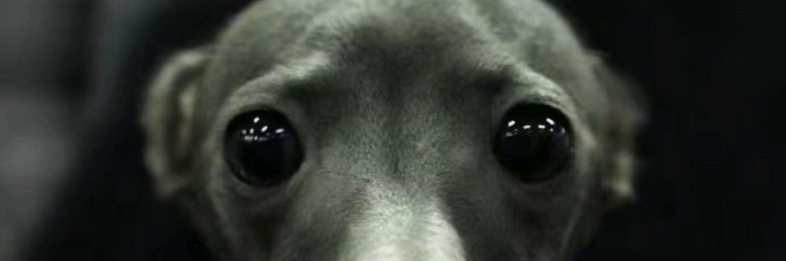 dredgen_one's profile banner image