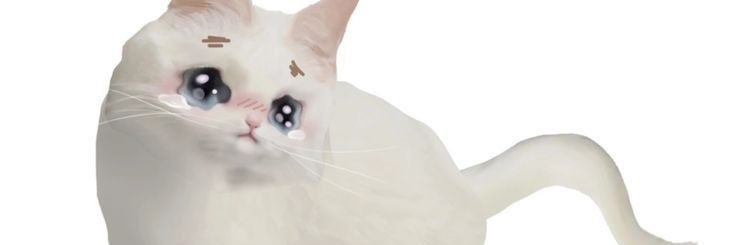 proanaise's profile banner image