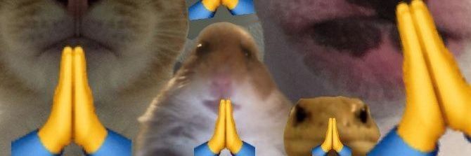 Ი 𐑼 ･ . ･𐦯⁷ banner