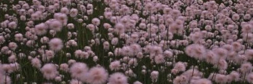 _Rio_x_'s profile banner image