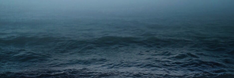 AskingAlly's profile banner image