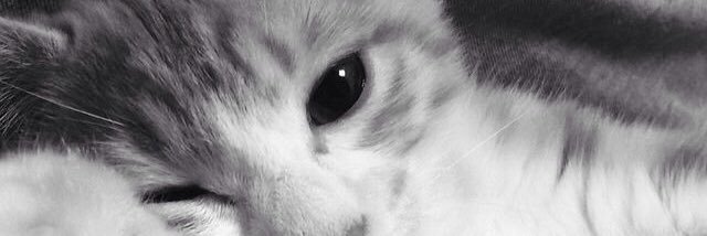 azninazira__'s profile banner image