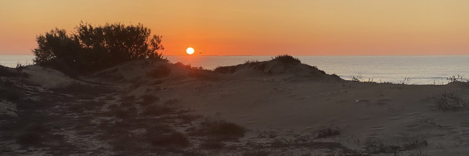 José Luis Sáez banner