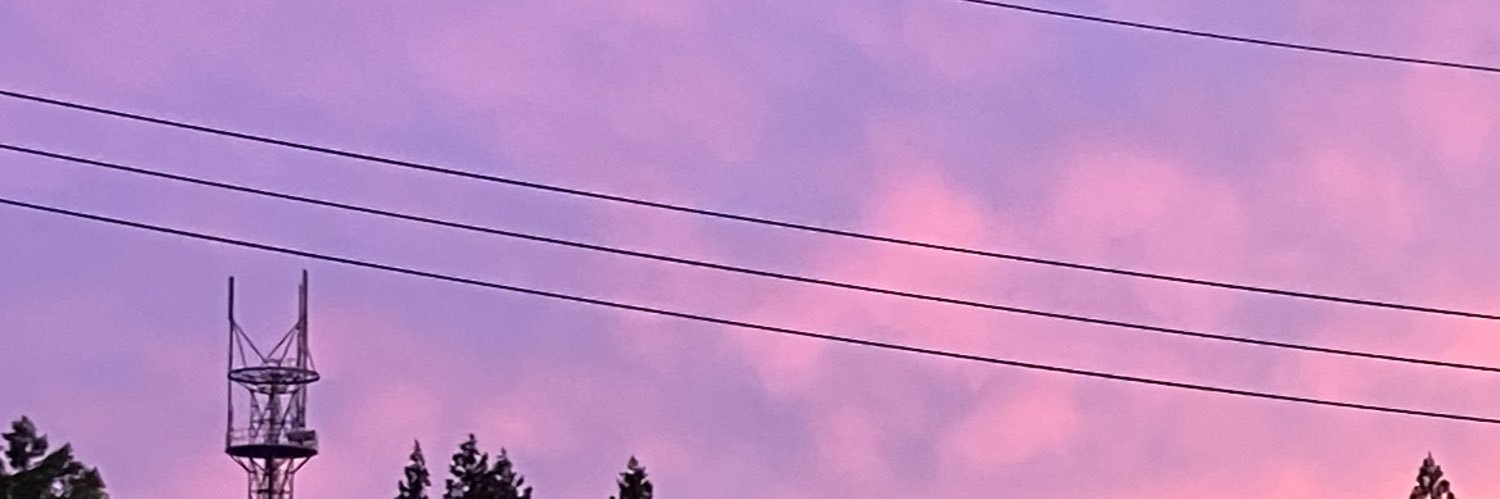 R_PRNSK's profile banner image