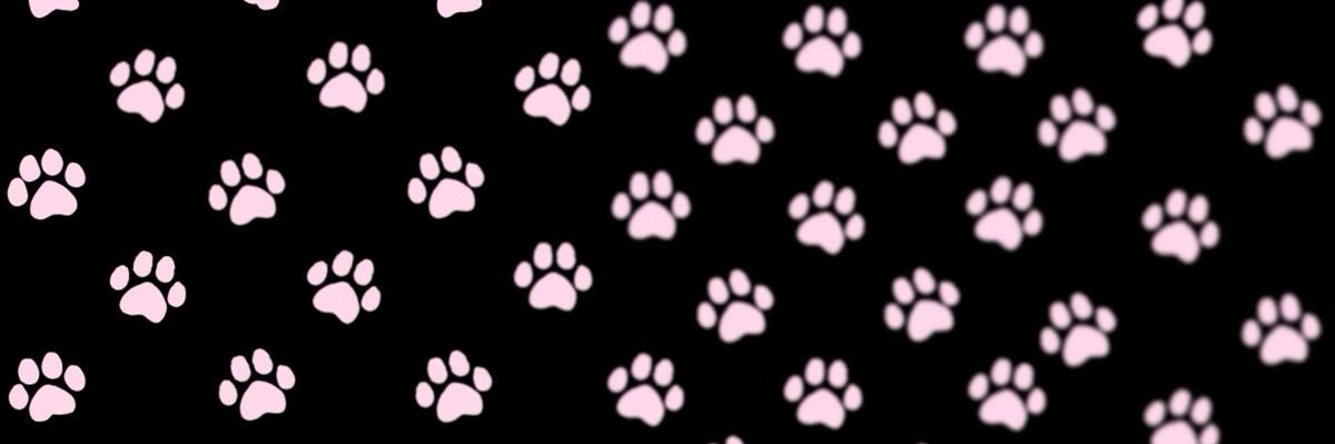kat 🐾♟️ | shedtwt banner