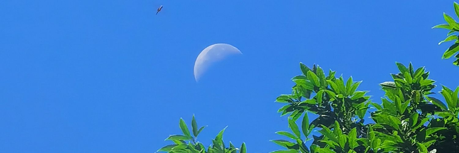 Alexandra_Mera1's profile banner image