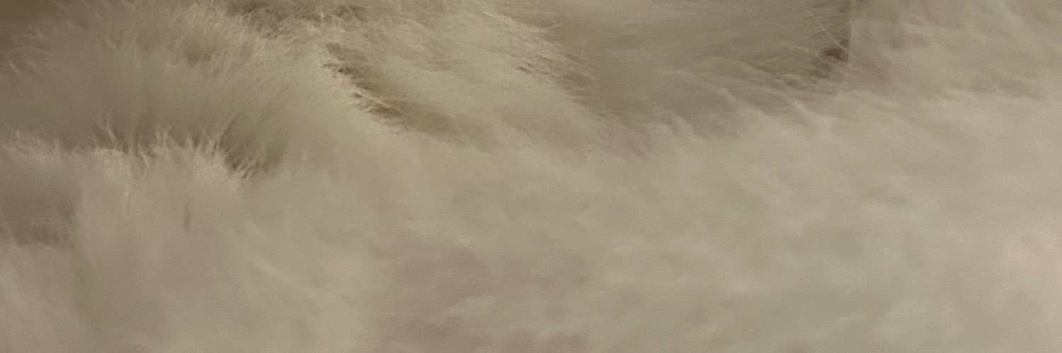 まろた。 banner