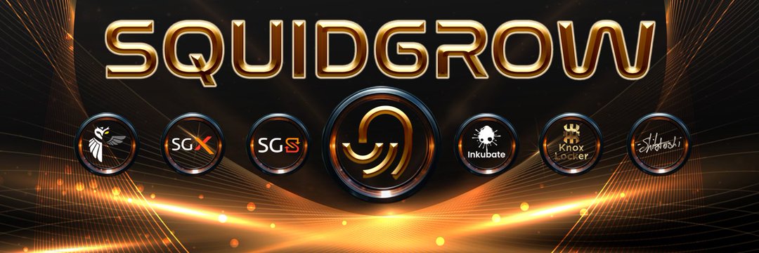 SquidGrowBro's profile banner image