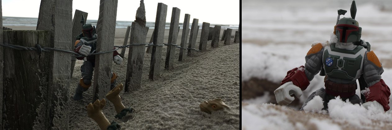 Brandon DiCamillo banner