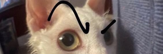 🥲 banner