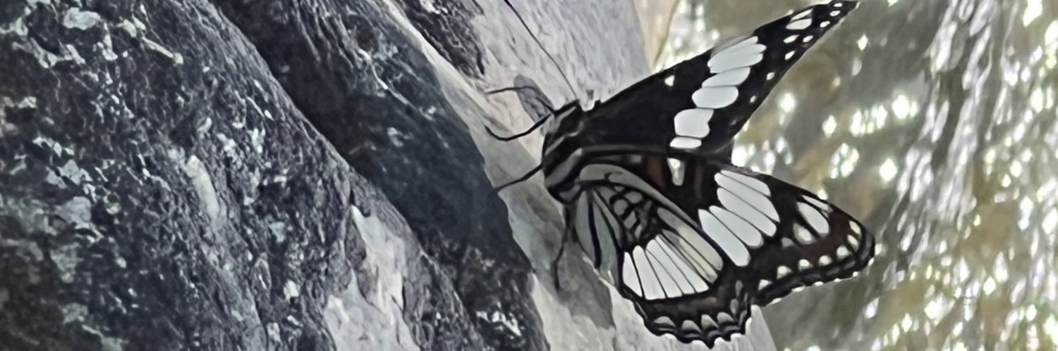 Perrin91960's profile banner image