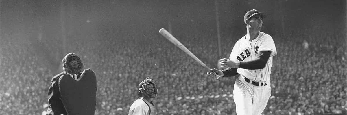 baseballjunkie banner