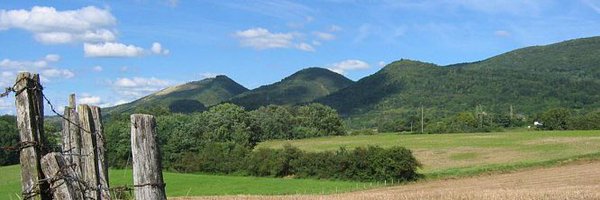 cendre_g01 Profile Banner