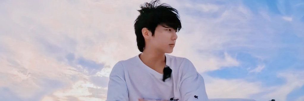 d. banner