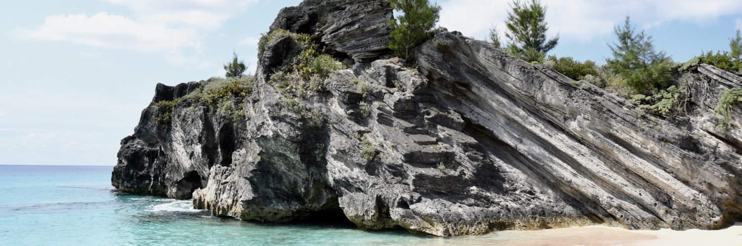 John Himm 🇺🇸 banner