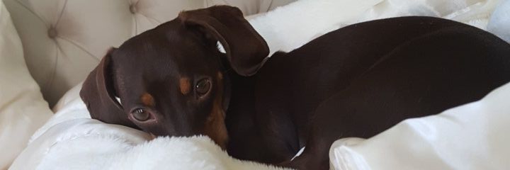 SJP725's profile banner image