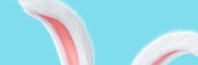 tiny_starlight 🚂 banner