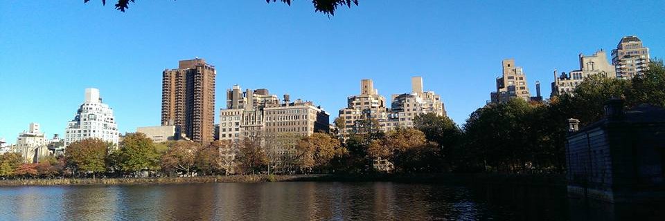 Oana Uluiteanu banner