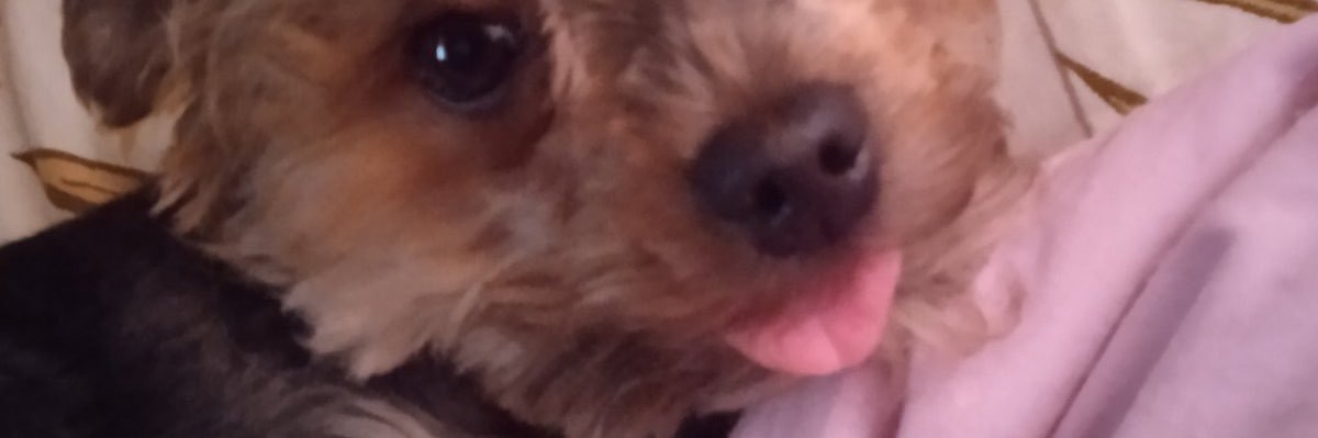 kR3N3 CREATOR banner