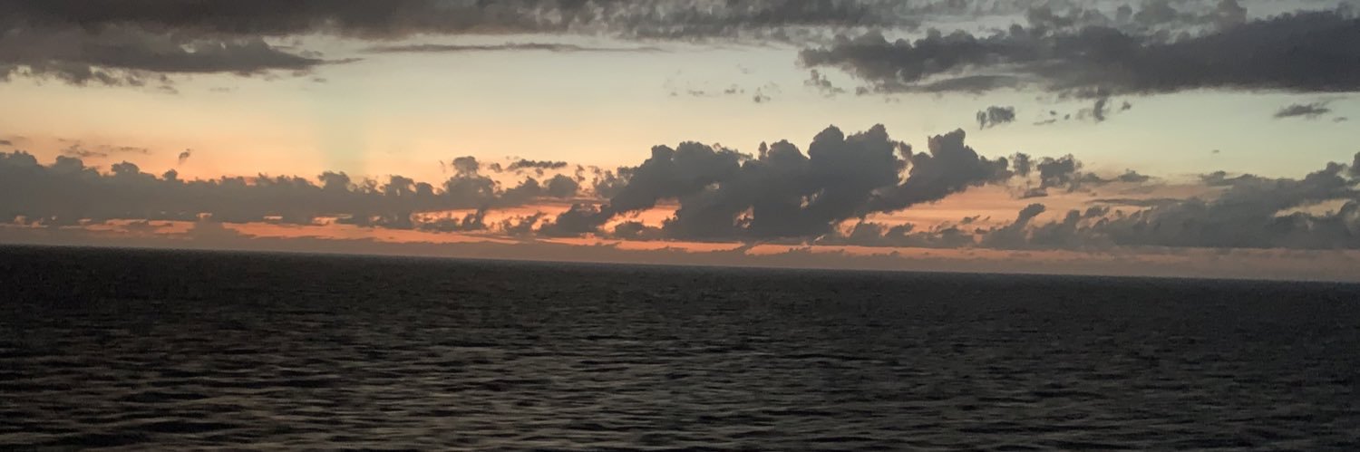 Orion Mowbray banner