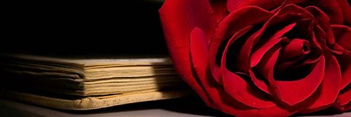 irm23s's profile banner image