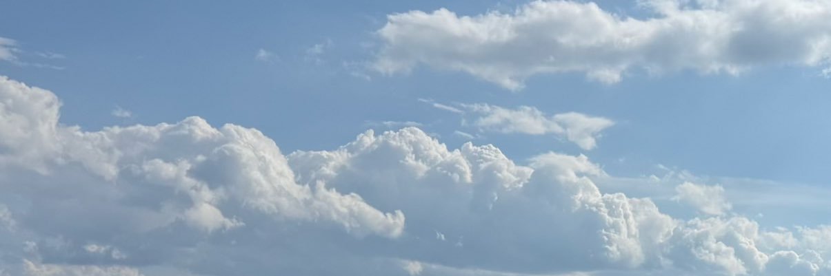 biggirl3498's profile banner image