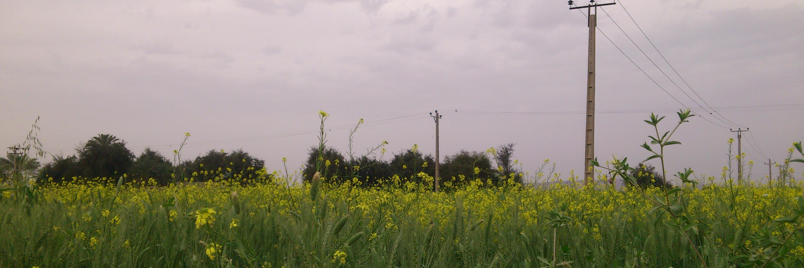 Watson_J_H's profile banner image