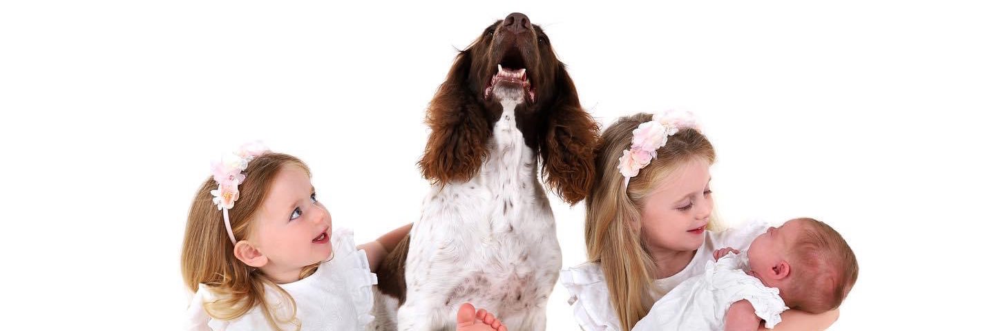 Lucybrown88's profile banner image