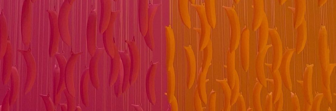 daniris923's profile banner image