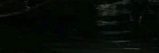 Reem banner