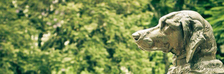 MatrizSkateshop's profile banner image