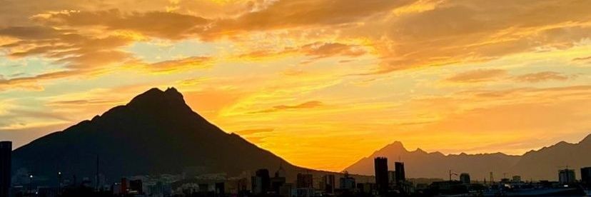 manuel_artec's profile banner image